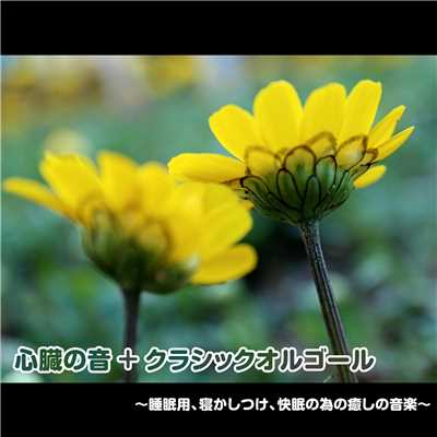 ノクターン第2番 変ホ長調 Op.9-2 (心音入りオルゴールバージョン)/浜崎 vs 浜崎