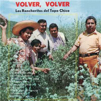 Volver, Volver/Los Rancheritos Del Topo Chico