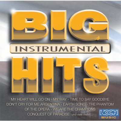 Big Hits Instrumental/Acoustic Sound Orchestra
