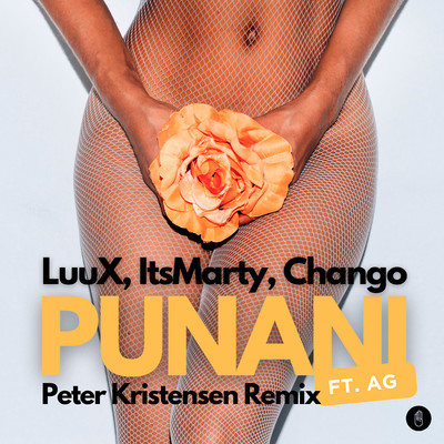 Punani (feat. AG) [Peter Kristensen Remix ]/LuuX