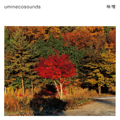苔のように(album version)/uminecosounds