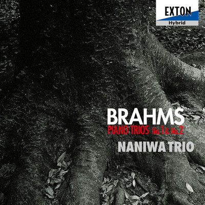 Piano Trio No.1 In B Major Op.8: 3 Adagio/Masayuki Kino／Yasuro Chomei／Hikaru Yoshiyama
