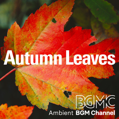 アルバム/Autumn Leaves/Ambient BGM channel