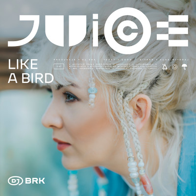 Like A Bird/DJ Brk／Udoo