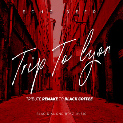 シングル/TRIP TO LYON (Tribute Remake To Black Coffee)/Echo Deep