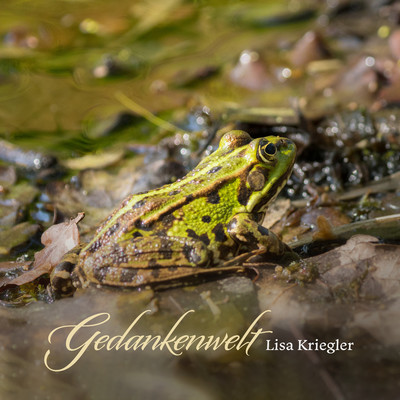 Gedankenwelt/Lisa Kriegler