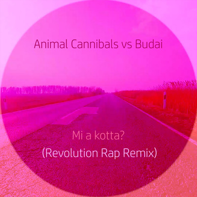 シングル/Mi a kotta？ (Revolution Rap Remix)/Animal Cannibals & Budai