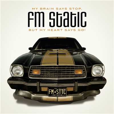 Lost In You/FM Static