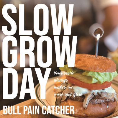 アルバム/SLOW GROW DAY/Bull pain catcher