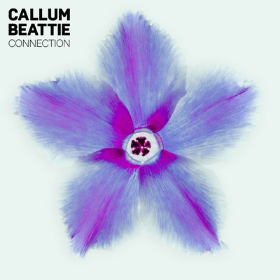 シングル/Connection/Callum Beattie