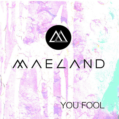 You Fool (Radio Edit)/MAELAND