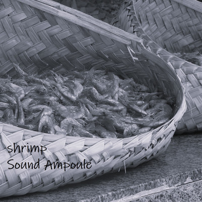 アルバム/shrimp/Sound Ampoule