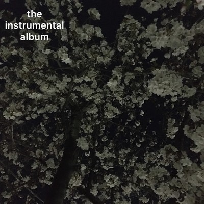 アルバム/the instrumental album/∞