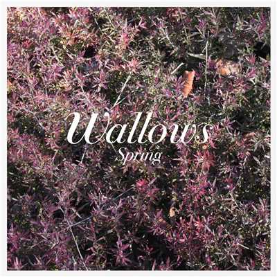 アルバム/Spring EP/Wallows