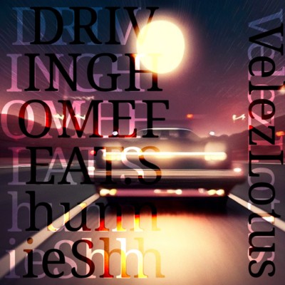 シングル/Driving Home (feat. Shunnie Shh)/VelezLotus