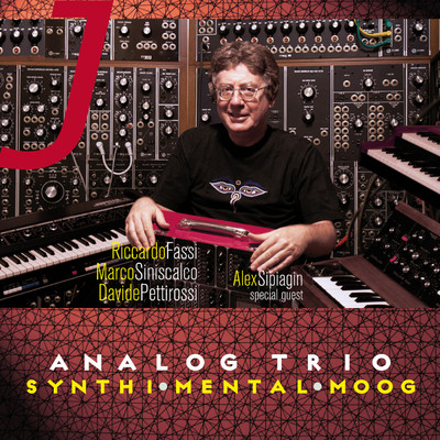アルバム/Synthi Mental Moog/Analog Trio