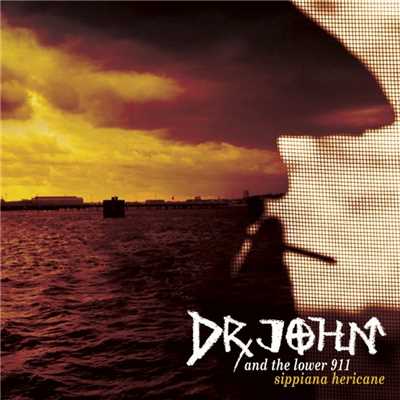 Wade: Hurricane Suite: Calm in the Storm/Dr John
