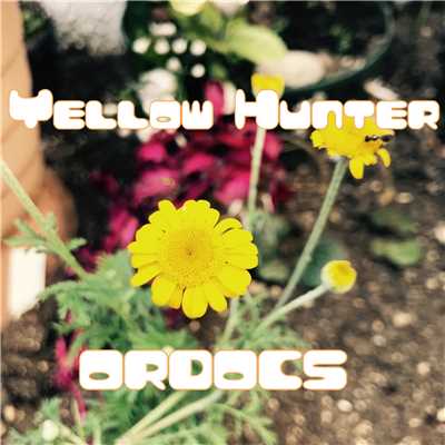 アルバム/YELLOW HUNTER/ORDOCS