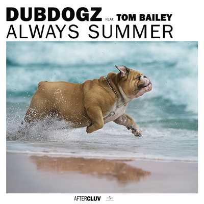Always Summer (Extended)/Dubdogz／Tom Bailey