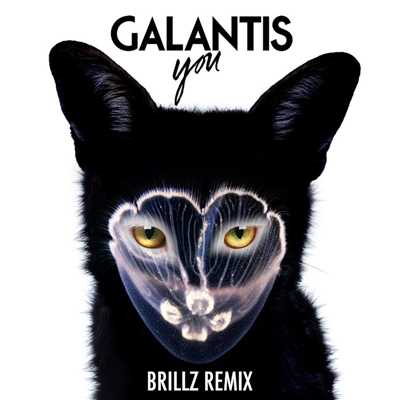 シングル/You (Brillz Remix)/Galantis