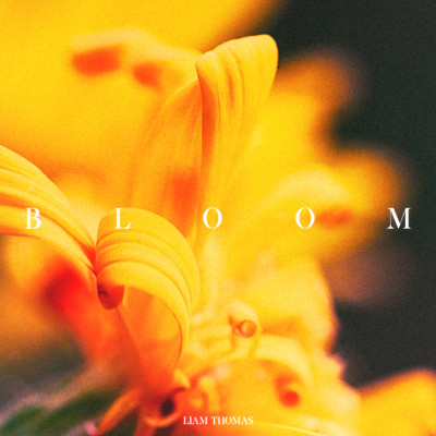 シングル/Bloom/Liam Thomas