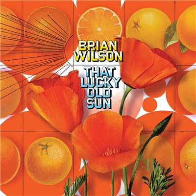 アルバム/That Lucky Old Sun/Brian Wilson