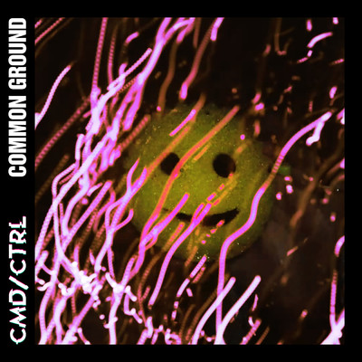 Common Ground/CMD／CTRL