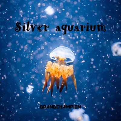 silver aquarium/GRANDCHAMPION