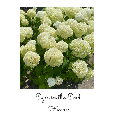 アルバム/Eyes in the End/Flowers