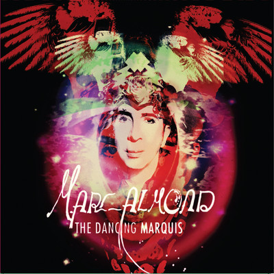 Love Is Not on Trial/Marc Almond