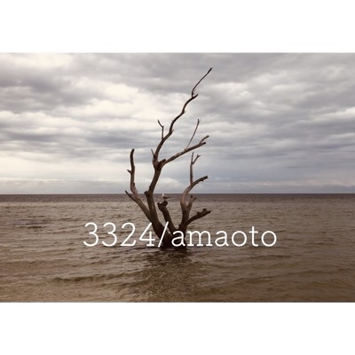 シングル/amaoto/3324