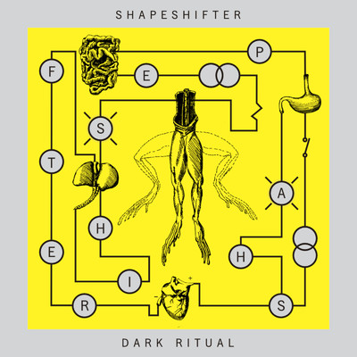 アルバム/Dark Ritual/Shapeshifter