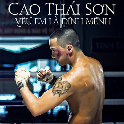 アルバム/Yeu Em La Dinh Menh/Cao Thai Son