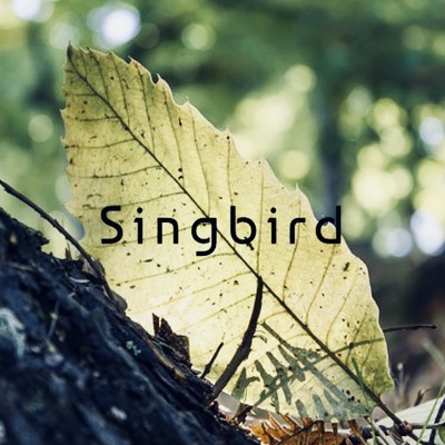アルバム/SingBirds/SingBird