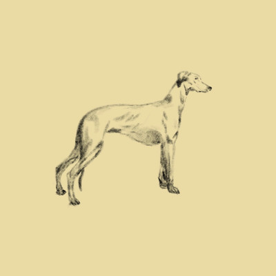 シングル/Greyhound/Cameron Hardyman