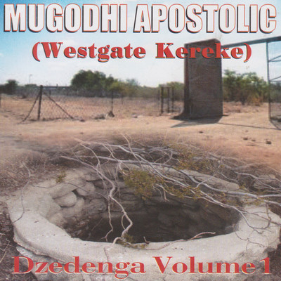 Mugodhi Apostolic (Westgate Kereke)