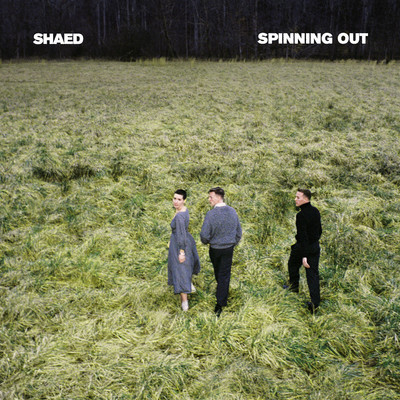 You Stole My Favorite Song/SHAED