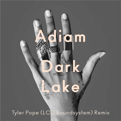 シングル/Dark Lake (Tyler Pope Remix ／ LCD Soundsystem)/Adiam