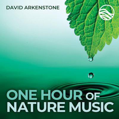 アルバム/One Hour Of Nature Music: For Massage, Yoga And Relaxation/デヴィッド・アーカンストーン