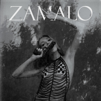 シングル/Zamalo (featuring Meta)/Marko Mandic