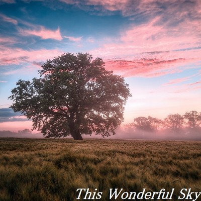 シングル/This Wonderful Sky/TandS