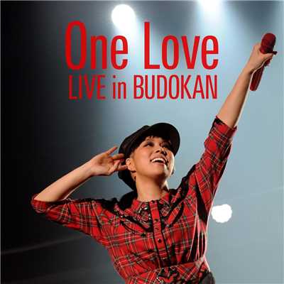 シングル/One Love (2012.06.22 @ NIPPON BUDOKAN)/AI