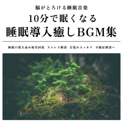 勉強用 雨とギターのBGM (森)/ヒーリング音楽おすすめ癒しBGM