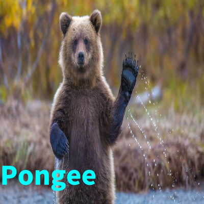 Pongee/Ionizer