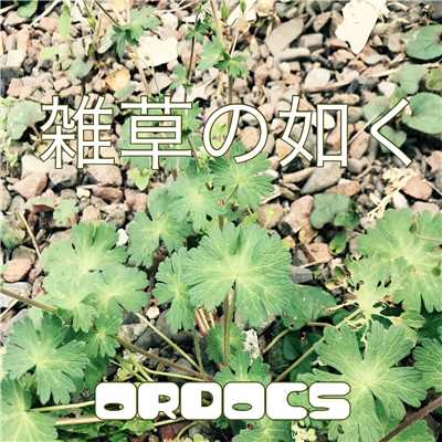 アルバム/雑草の如く/ORDOCS