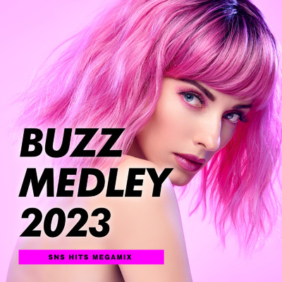 アルバム/BUZZ MEDLEY 2023 SNS HITS MEGAMIX (DJ MIX)/DJ HOOP