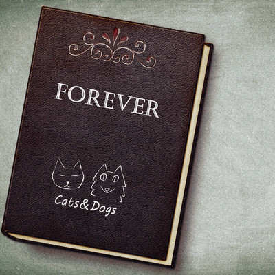 シングル/Forever/Cats&Dogs