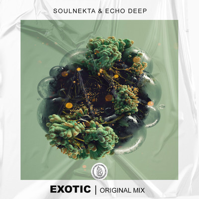 Exotic/Soulnekta and Echo Deep