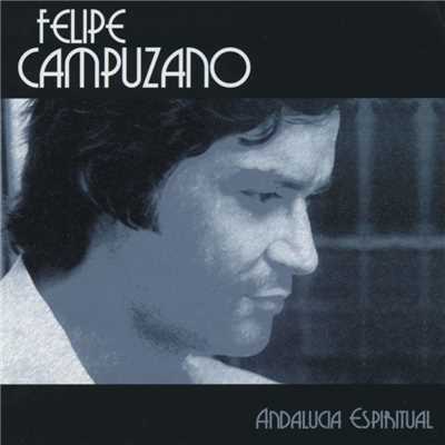 アルバム/Grandes exitos/Felipe Campuzano