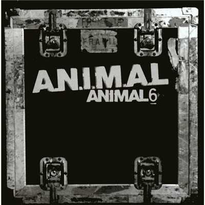 Animal 6/A.N.I.M.A.L.